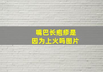 嘴巴长疱疹是因为上火吗图片