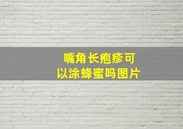 嘴角长疱疹可以涂蜂蜜吗图片