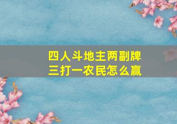 四人斗地主两副牌三打一农民怎么赢