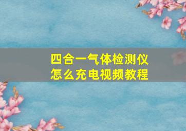 四合一气体检测仪怎么充电视频教程