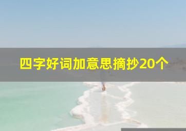 四字好词加意思摘抄20个