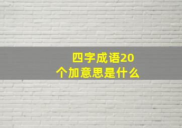 四字成语20个加意思是什么