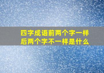 四字成语前两个字一样后两个字不一样是什么