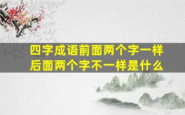 四字成语前面两个字一样后面两个字不一样是什么