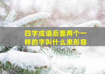 四字成语后面两个一样的字叫什么来形容