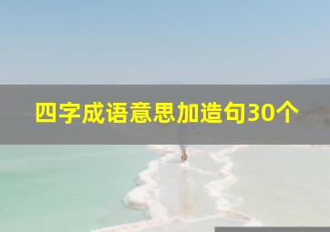 四字成语意思加造句30个