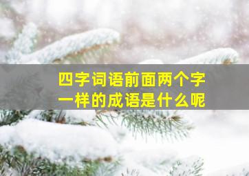 四字词语前面两个字一样的成语是什么呢