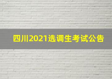 四川2021选调生考试公告