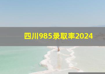 四川985录取率2024