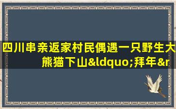 四川串亲返家村民偶遇一只野生大熊猫下山“拜年”