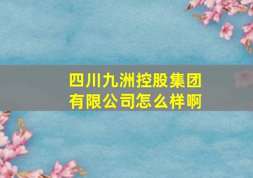 四川九洲控股集团有限公司怎么样啊