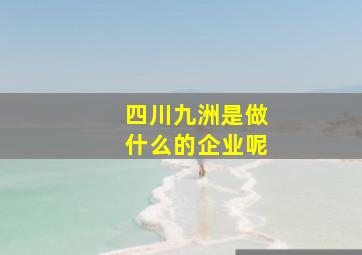 四川九洲是做什么的企业呢