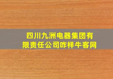 四川九洲电器集团有限责任公司咋样牛客网