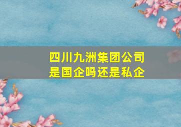 四川九洲集团公司是国企吗还是私企