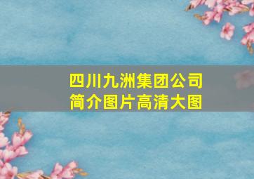 四川九洲集团公司简介图片高清大图