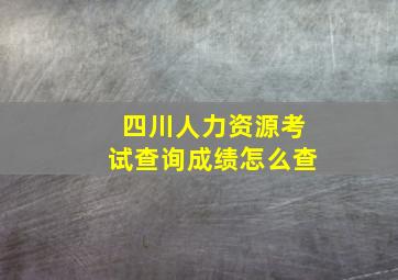 四川人力资源考试查询成绩怎么查