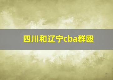 四川和辽宁cba群殴