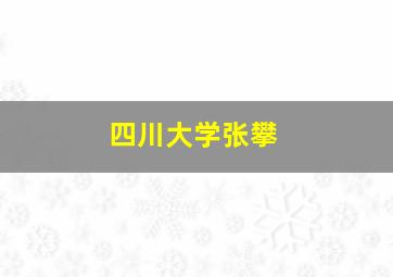 四川大学张攀