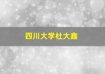 四川大学杜大鑫