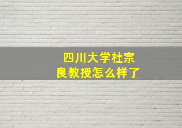 四川大学杜宗良教授怎么样了