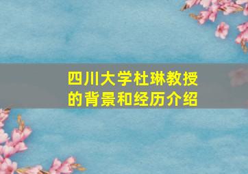 四川大学杜琳教授的背景和经历介绍