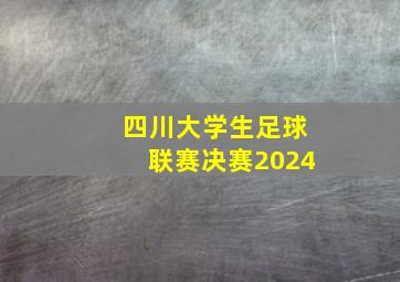 四川大学生足球联赛决赛2024