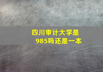 四川审计大学是985吗还是一本