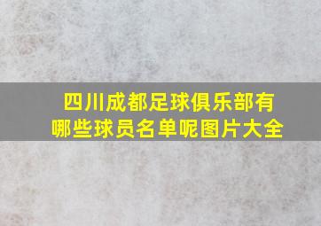 四川成都足球俱乐部有哪些球员名单呢图片大全