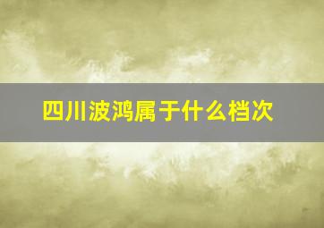 四川波鸿属于什么档次