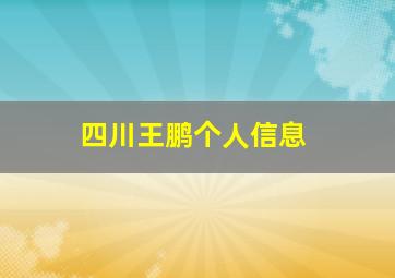 四川王鹏个人信息