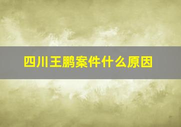 四川王鹏案件什么原因