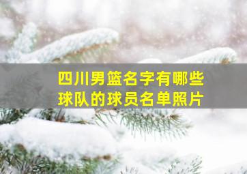 四川男篮名字有哪些球队的球员名单照片