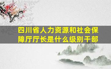 四川省人力资源和社会保障厅厅长是什么级别干部