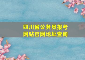 四川省公务员报考网站官网地址查询