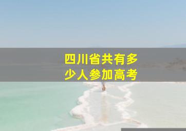 四川省共有多少人参加高考