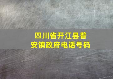 四川省开江县普安镇政府电话号码