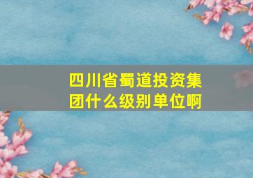 四川省蜀道投资集团什么级别单位啊