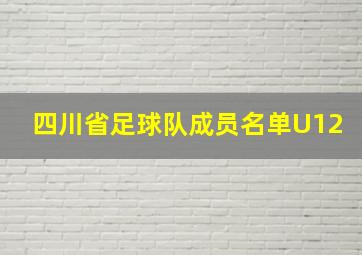 四川省足球队成员名单U12