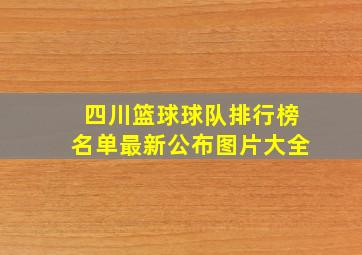 四川篮球球队排行榜名单最新公布图片大全