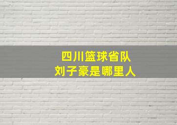 四川篮球省队刘子豪是哪里人