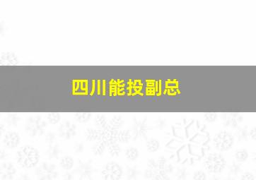 四川能投副总