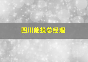 四川能投总经理