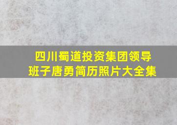 四川蜀道投资集团领导班子唐勇简历照片大全集