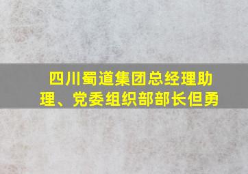 四川蜀道集团总经理助理、党委组织部部长但勇