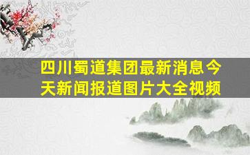 四川蜀道集团最新消息今天新闻报道图片大全视频