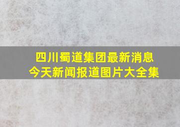 四川蜀道集团最新消息今天新闻报道图片大全集