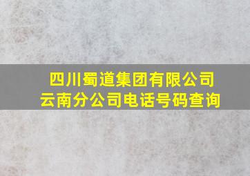 四川蜀道集团有限公司云南分公司电话号码查询