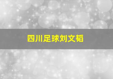 四川足球刘文韬