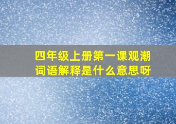 四年级上册第一课观潮词语解释是什么意思呀