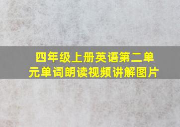 四年级上册英语第二单元单词朗读视频讲解图片